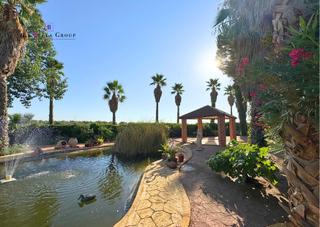 Masia  Calle san joaquín. Finca rústica premium – ciudad real - castilla-la mancha