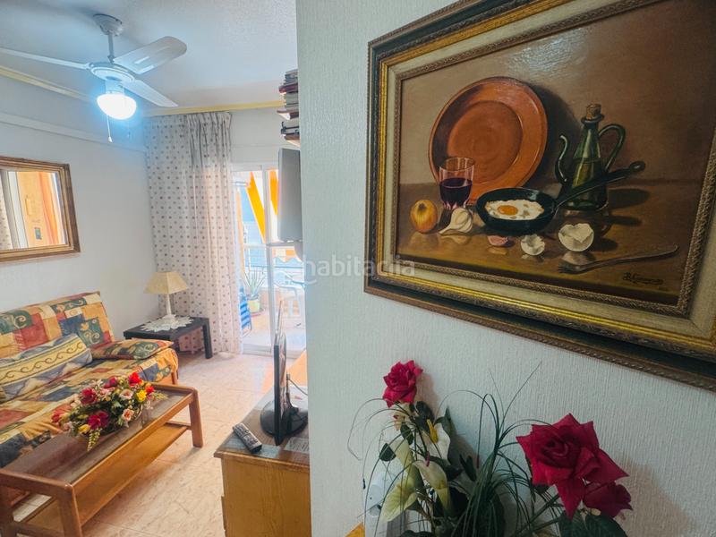 Foto 3db2bd7b-e52c-442c-ad0d-a74012085e8b. Alquiler piso  en alquiler con trastero incluido y opcional garaje en Torrevieja