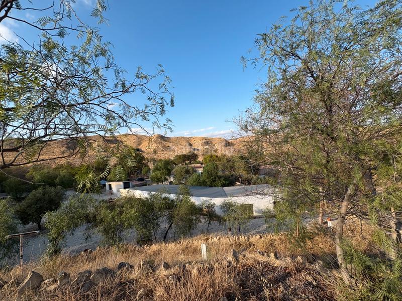 Foto 45abde7e-b8fd-44a5-9e4e-49d741f90bba. Affitto chalet con camino parcheggio piscina in Peña de las Águilas Elche / Elx