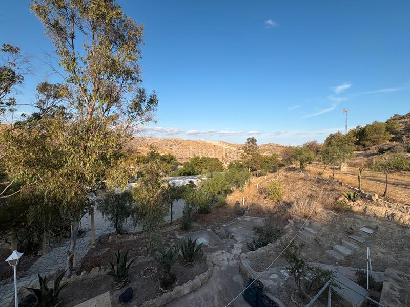 Foto 98987422-fc54-4520-be04-8da9f6f4dba1. Affitto chalet con camino parcheggio piscina in Peña de las Águilas Elche / Elx