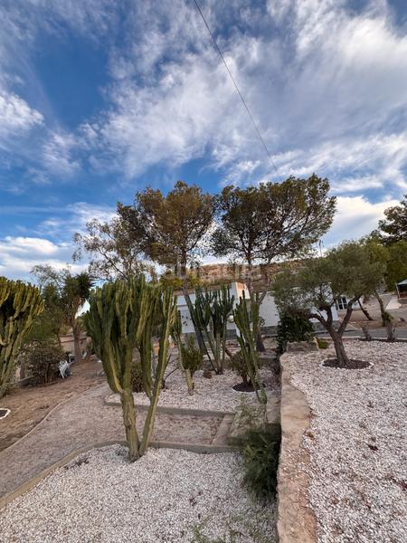 Foto 4937a145-ba35-464c-b7d6-aa927094dff3. Location chalet avec cheminée parking piscine dans Peña de las Águilas Elche / Elx