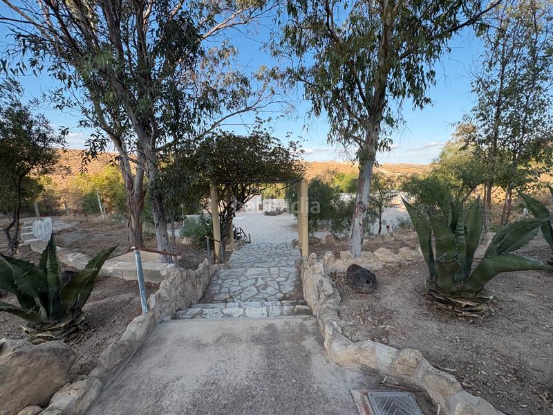 Foto 85eb8af2-5c32-4801-a4c4-6a6de5d9db13. Location chalet avec cheminée parking piscine dans Peña de las Águilas Elche / Elx