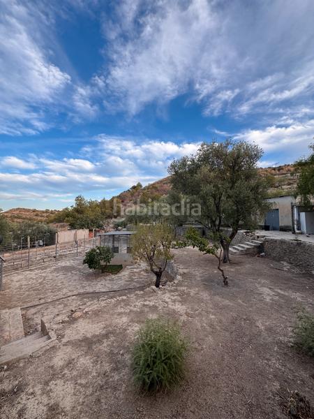 Foto 9f05e96c-419b-41d3-918d-f11286bd49cf. Location chalet avec cheminée parking piscine dans Peña de las Águilas Elche / Elx