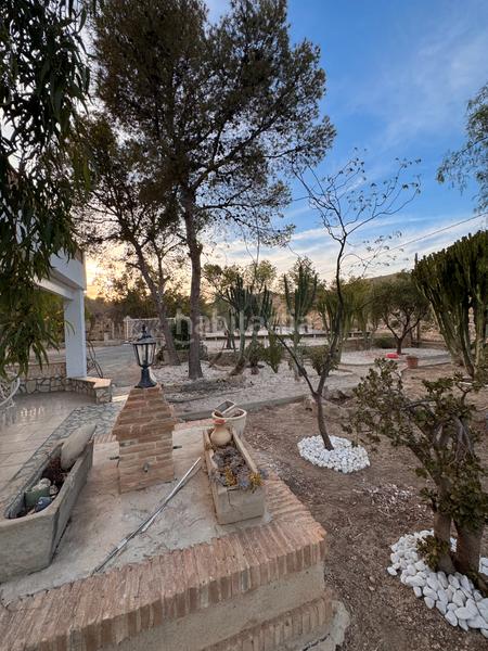 Foto a42b04a3-70ab-4e0a-a1d8-8d3c214c5713. Location chalet avec cheminée parking piscine dans Peña de las Águilas Elche / Elx