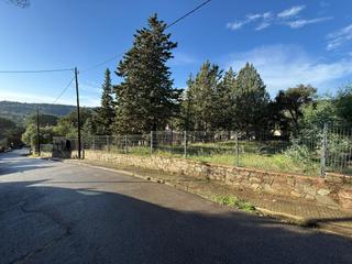 Terreny residencial a Calle maresme. Venta de terreno urbano en mas ambros, calonge  1056 m