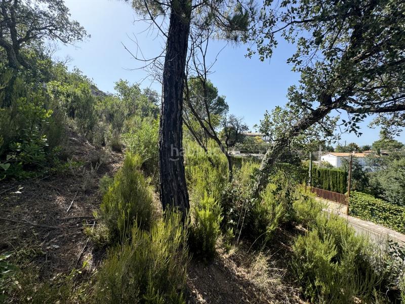 Foto 1508087c-783f-4981-b9f0-d96b81498ecf. Wohngrundstück in calle dels pirineus 303 in Golf Costa Brava Santa Cristina d´Aro