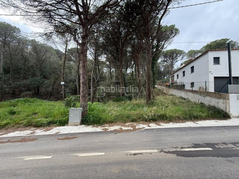 Foto 1a670c99-edae-42fc-b068-5a27df9ef363. Terreno residencial en avenida manxa 94 parcela edificable en mas pere en Calonge