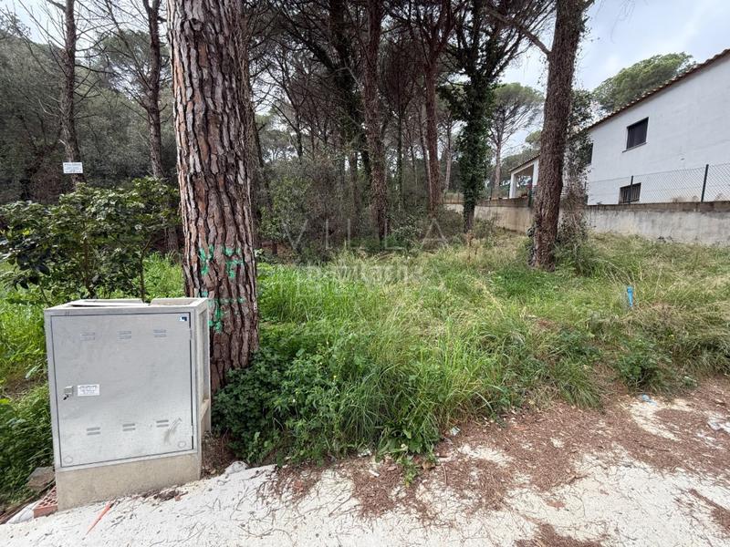 Foto 27c4a01d-981e-4312-a234-ee55b170d627. Terreno residencial en avenida manxa 94 parcela edificable en mas pere en Calonge