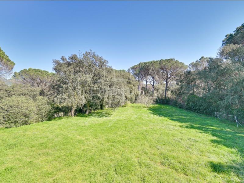 Foto a85fbd0f-d07e-4a45-aa24-7ccff1e9e4fc. Maison dans barrio solius 28 dans Golf Costa Brava Santa Cristina d´Aro