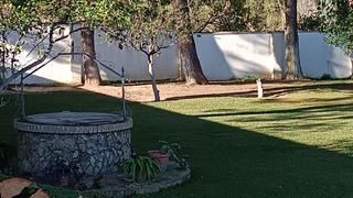 Propriété à Carmona. Parcela rústica cerca de mairena del alcor