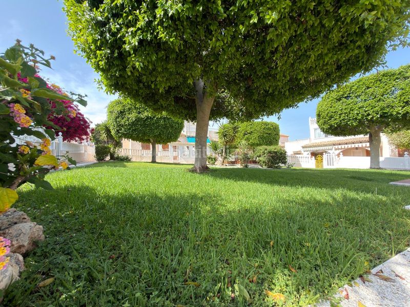 Foto 54eba608-8148-4c9b-a686-e7dbb2b708ce. Casa adossada a calle moncayo 27 a Los Balcones-Los Altos Torrevieja
