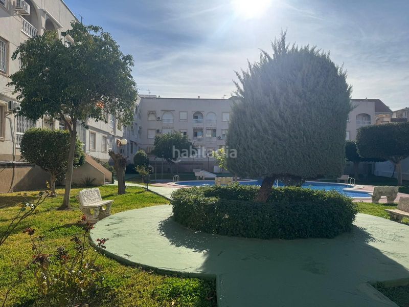 Foto 916a2c16-5a95-45b6-a43c-1350f17e0a2b. Apartament amb piscina a El Acequión Torrevieja