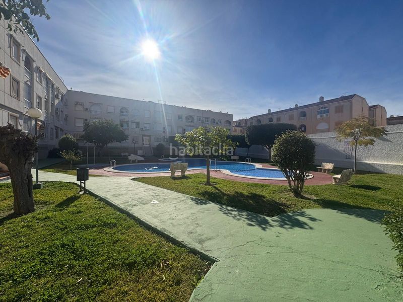 Foto d74cdac0-9fb7-4047-bdf9-febe851c7796. Apartament amb piscina a El Acequión Torrevieja