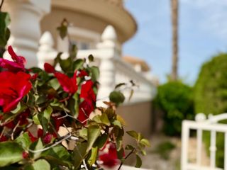 Xalet  Calle veleta. Vive el mediterráneo  en tu propio chalet independiente   de cua