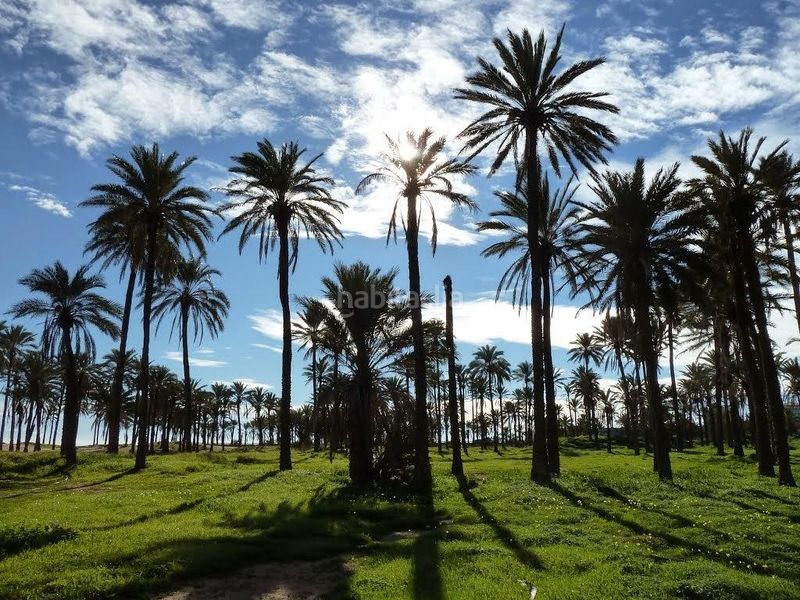 Foto 414bf8b7-bc2f-4fe3-9fd7-f5a37914cca3. Xalet amb aparcament piscina a Los Balcones-Los Altos Torrevieja