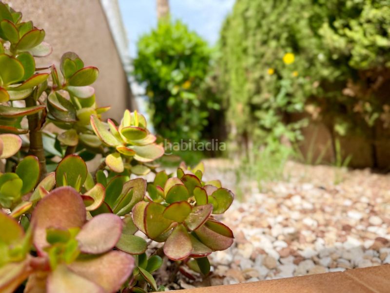 Foto 9e78541b-4c85-4186-9df0-c6262bbc0143. Xalet amb aparcament piscina a Los Balcones-Los Altos Torrevieja