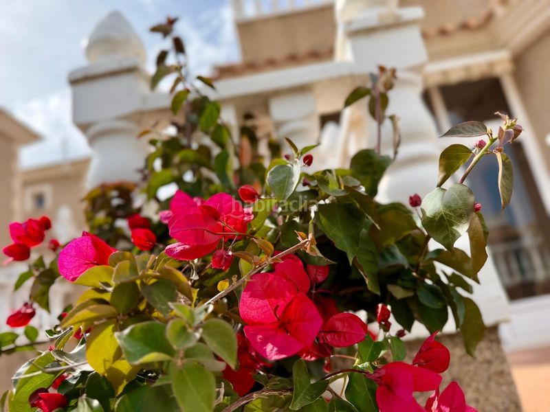 Foto f10ca18d-b75e-4c1a-9e57-49f3b3cd527f. Xalet amb aparcament piscina a Los Balcones-Los Altos Torrevieja