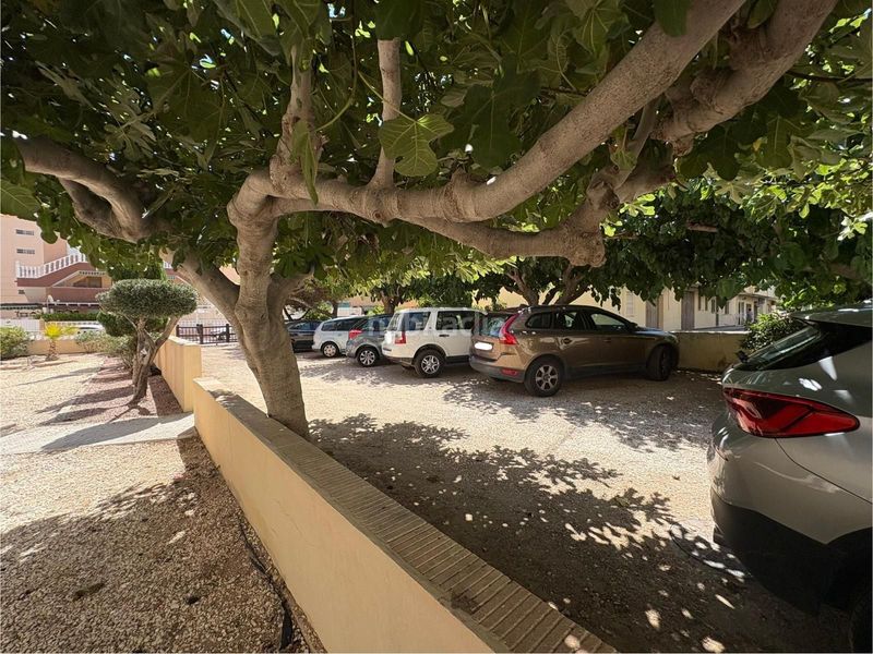 Foto bd2d8ef8-d87f-4149-b30f-3f12c0ec933b. Apartament amb aparcament a Los Europeos Torrevieja