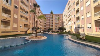 Studiowohnung  Calle bilbao. Estudio  muy amplio en el puerto deportivo de torrevieja  luz, u