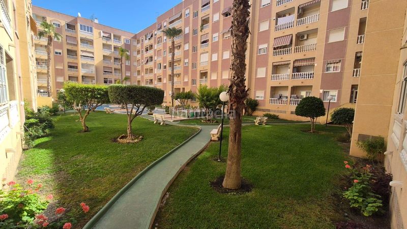 Foto 98cc7a4d-5320-460f-b473-2caf34595c35. Estudi amb piscina a Parque de las Naciones Torrevieja