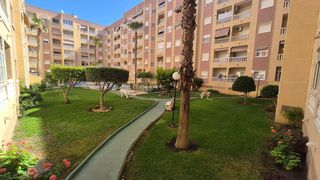 Estudi  Calle bilbao. Ultima oportunidad !!estudio  muy amplio en el puerto deportivo