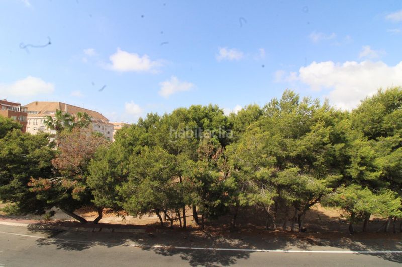 Foto 7126455e-b2a6-4f2a-afe3-4a929081df26. Apartament amb aparcament piscina a La Veleta Torrevieja