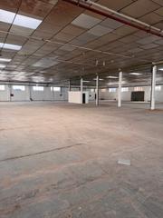 Lloguer Nau industrial a Alcácer