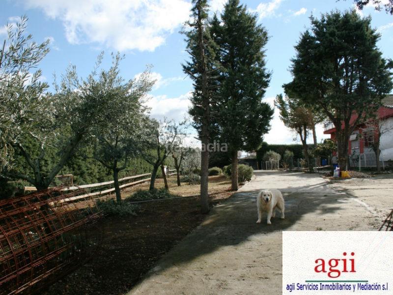 Foto 7a104182-1499-4be9-8e87-5fe932550398. Haus in Hontoba