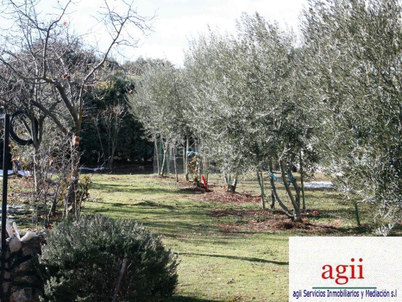 Foto fbb6224c-3ddf-40ce-996c-855c4469ac55. Haus in Hontoba