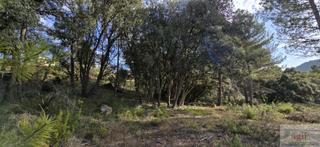 Terrain résidentiel à Trillo. Trilloterreno