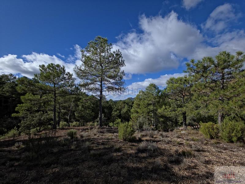 Foto 1ba3d7c0-4a8f-43f2-8df2-41bffa439dd2. Residential plot in Trillo