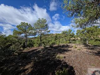 Terrain résidentiel à Trillo. Trilloterreno
