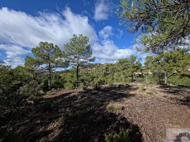 Foto e405e625-1d37-4e81-9868-9cc8d73bb50d. Residential plot in Trillo