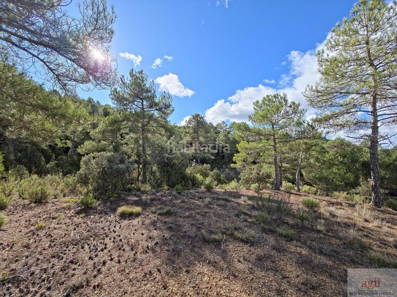 Foto f372d7d6-760f-4455-b2a5-1c5f4795e4dd. Residential plot in Trillo
