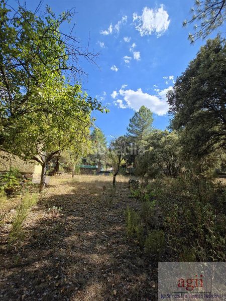 Foto 15862cfb-c488-4c20-8a5b-06e38295e2d9. Chalet  en Trillo