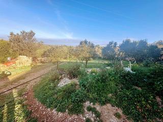 Rural plot in Montuïri. Finca rústica vallada de 2010m2 montuiri