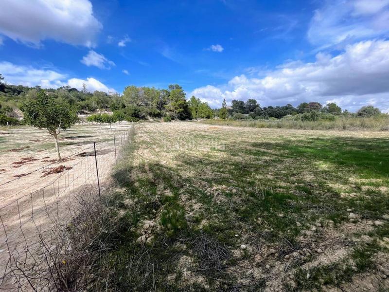 Foto 8328f253-5209-4d05-a0b7-a564aec2743e. Landgut in Lloret de Vista Alegre