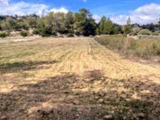 Finca rústica  Poligono 1 parcela 48. Parcela rústica en venta en lloret de vistalegre  2.165 m