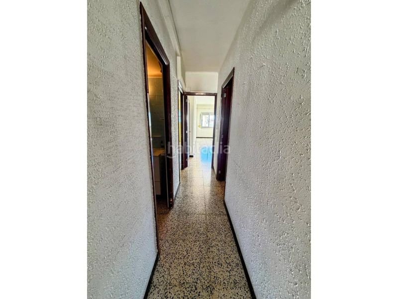 Foto b07ff342-78a3-457c-b7ed-b5609d6b0e79. Pis a Bons Aires Palma de Mallorca