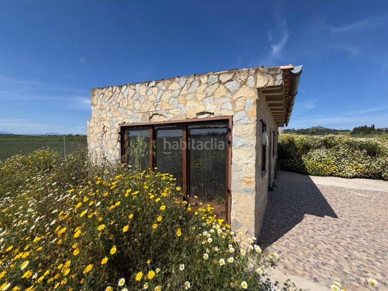 Foto 5119141a-e854-4cee-835d-23ba5f513e07. Masia amb aparcament a Manacor centre Manacor