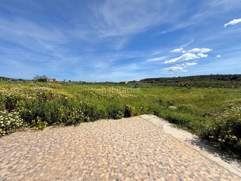 Foto 9984a508-85a4-4371-952b-7e31dc0d6de4. Masia amb aparcament a Manacor centre Manacor