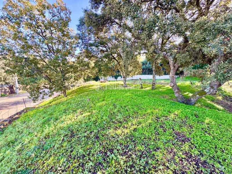 Foto 858844a7-72c2-42a7-961d-1c011ac0280f. Wohngrundstück in Valdeaveruelo