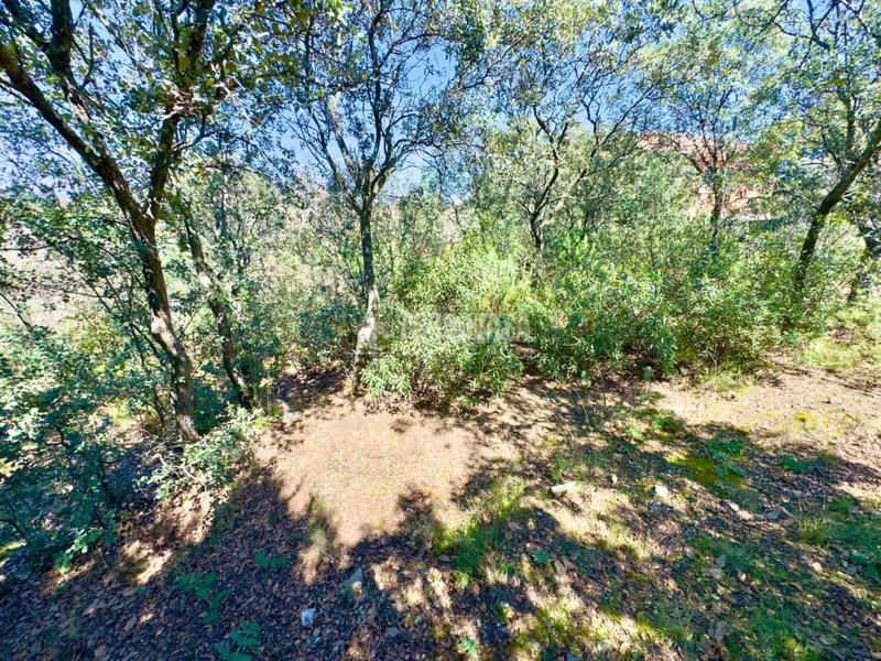 Foto 3094d982-2055-4f7b-8c76-30a675162d96. Wohngrundstück in Valdeaveruelo