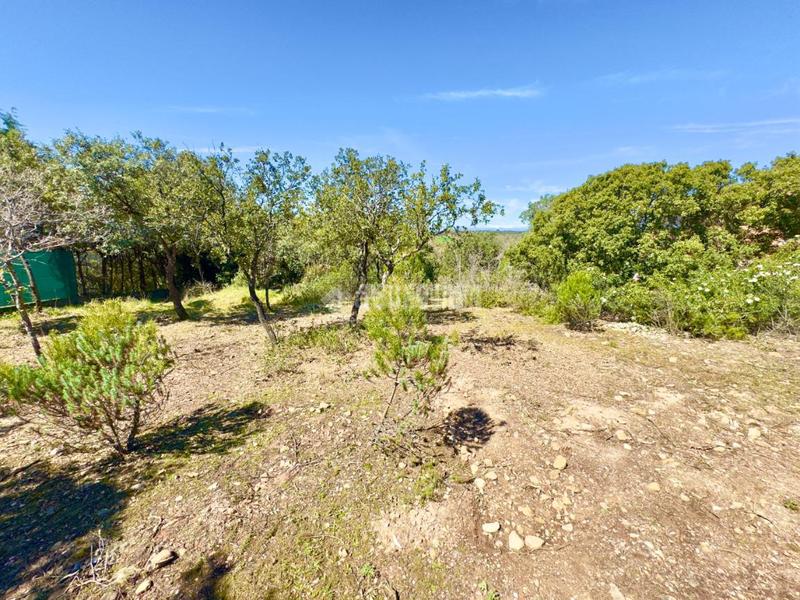 Foto 5078a15f-0132-417b-9ee0-aabff3448cd2. Wohngrundstück in Valdeaveruelo