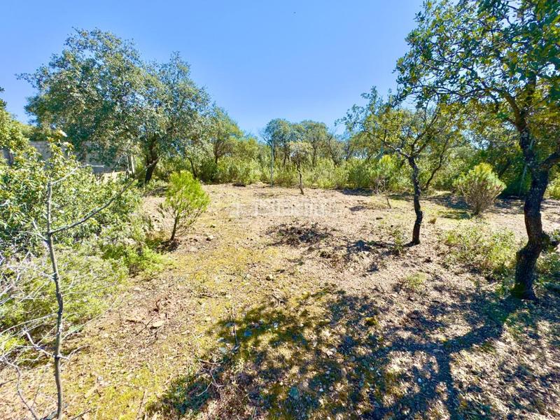 Foto b7a0c40b-c62f-4d3d-82f5-0da95a81deab. Wohngrundstück in Valdeaveruelo