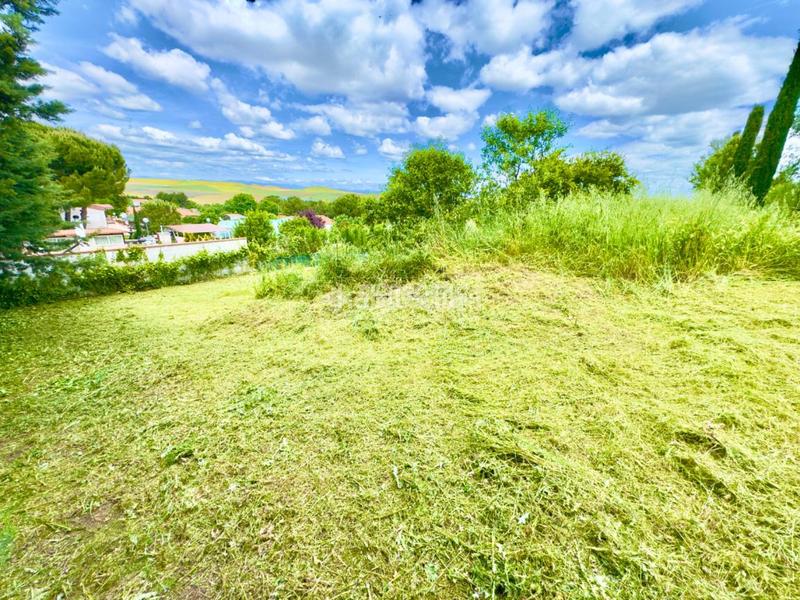 Foto 7e2b4d19-730d-4d44-8fa2-66c5981d0122. Terreno residenziale in Valdeavero