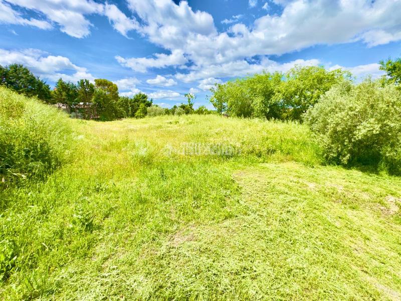 Foto c4ed3710-b9b8-4d09-96a7-1c0fb6be8855. Terreno residenziale in Valdeavero