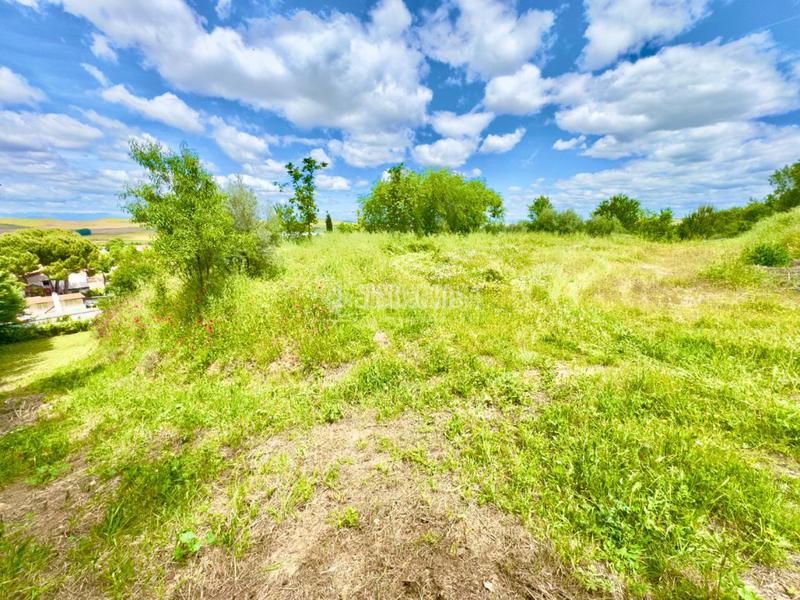 Foto cc896c08-9be7-417a-8676-bec98a7189e0. Terreno residenziale in Valdeavero