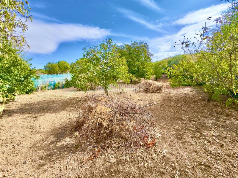 Foto a107a7a9-3786-42af-aabf-783a9a40c16c. Casa  en venta en Valdeavero