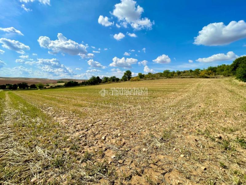 Foto 0d05cb73-4bc4-45ba-9c6d-4c2581e96d3e. Finca rústica terrenos en venta en Valdeavero